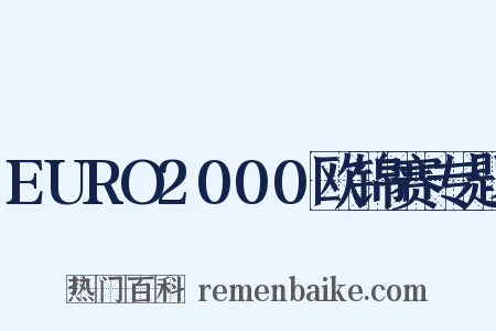 EURO2000欧锦赛专题是什么意思的图片